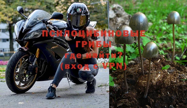 mdpv Гусь-Хрустальный
