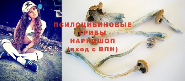 mdpv Гусь-Хрустальный
