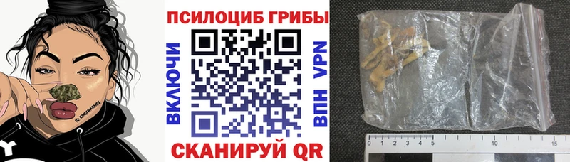 Купить где  Коркино  Галлюциногенные грибы мухоморы 
